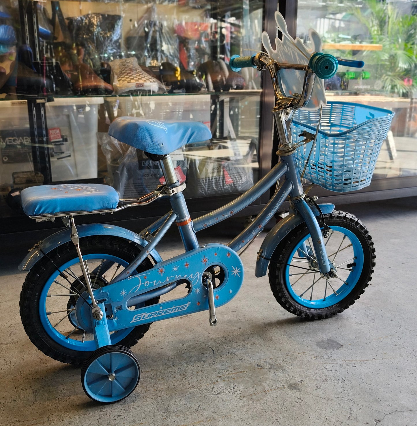 Bike 12 Journey (available in two colors)