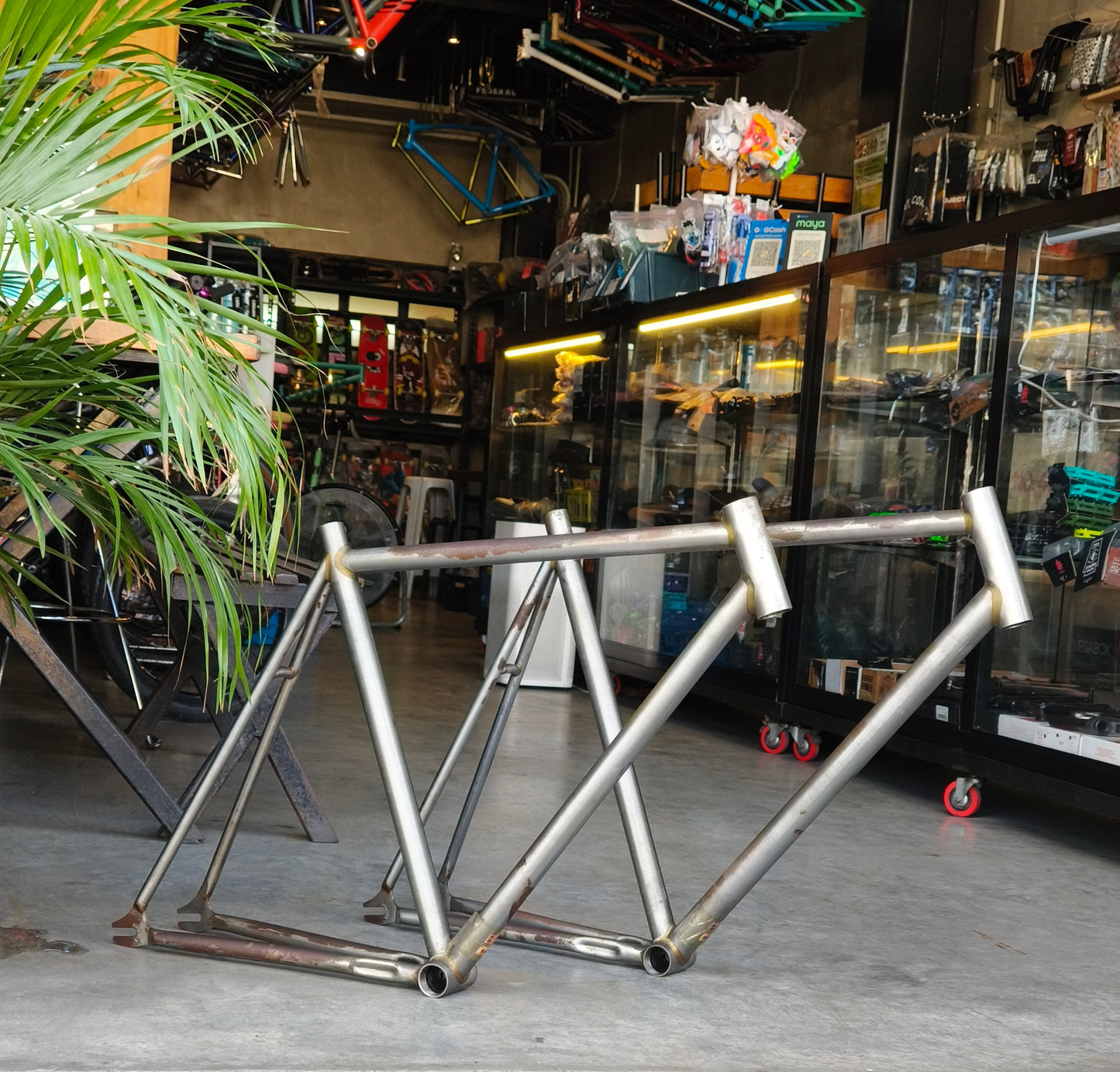 Ave Maldea, Fixed gear Frame (available in 2 size options)