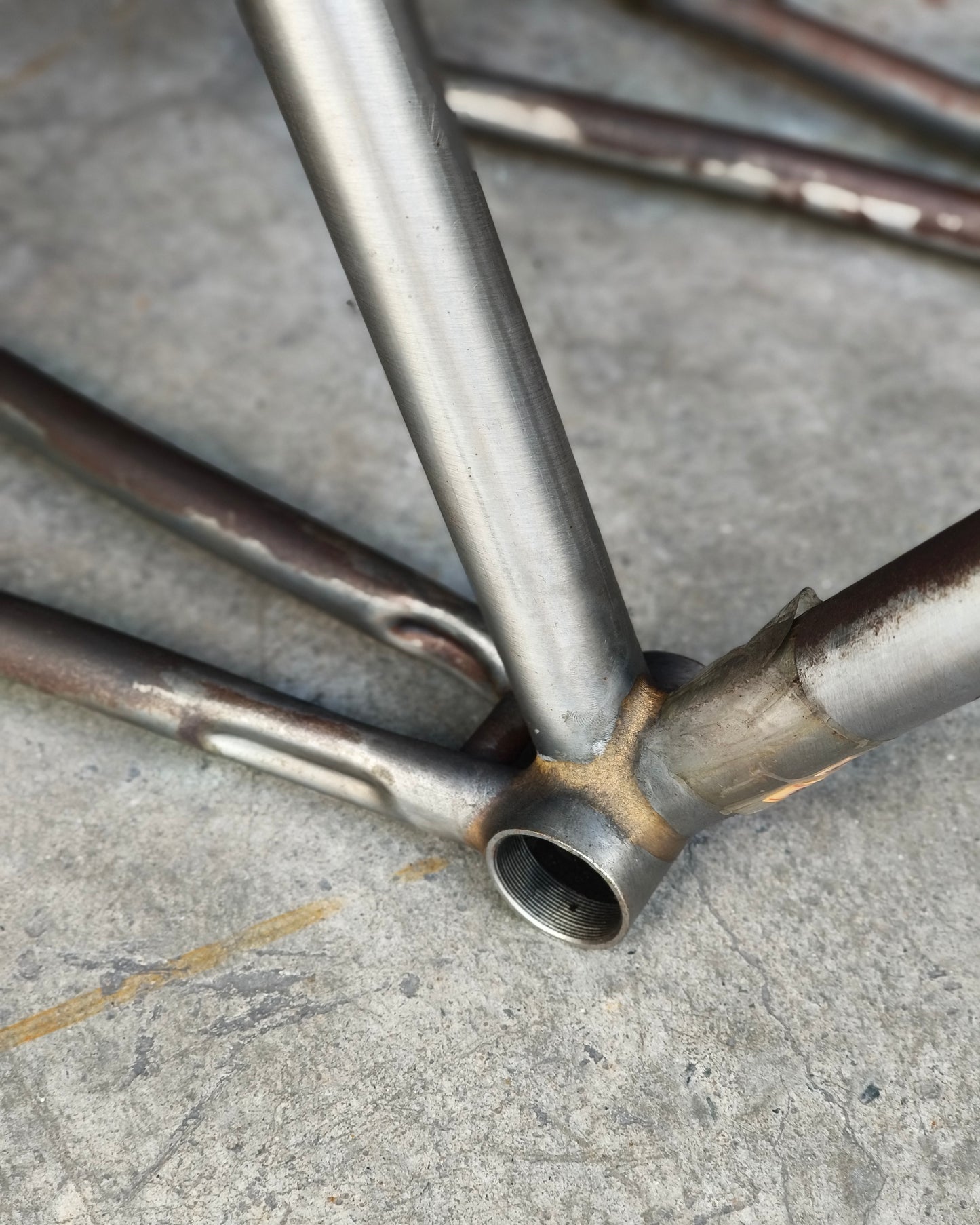 Ave Maldea, Fixed gear Frame (available in 2 size options)