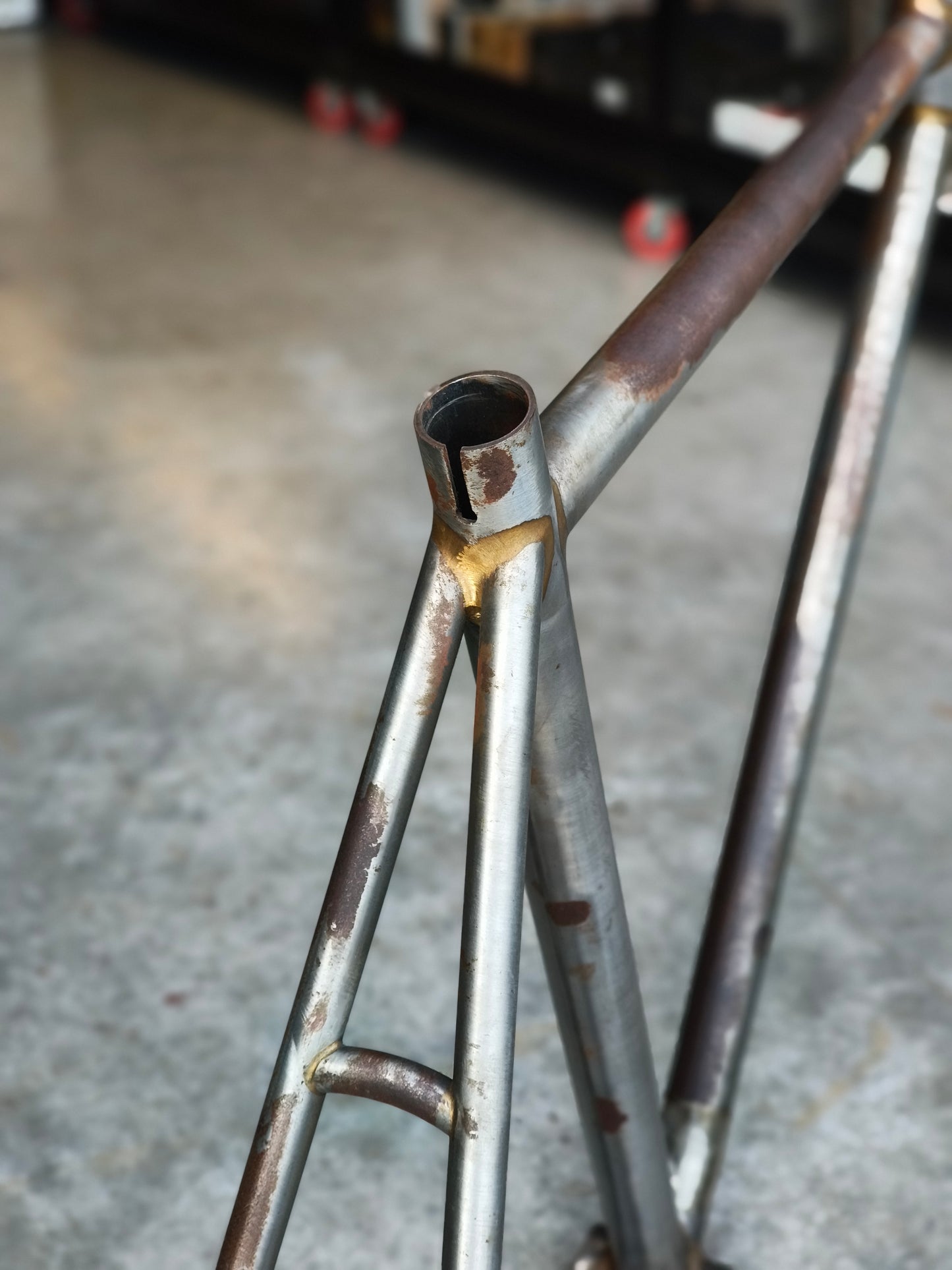 Ave Maldea, Fixed gear Frame (available in 2 size options)