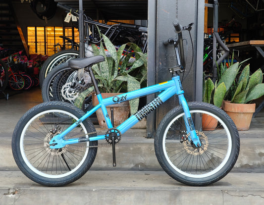 Z- Bike 20 Ozzy Thruster Skyblue