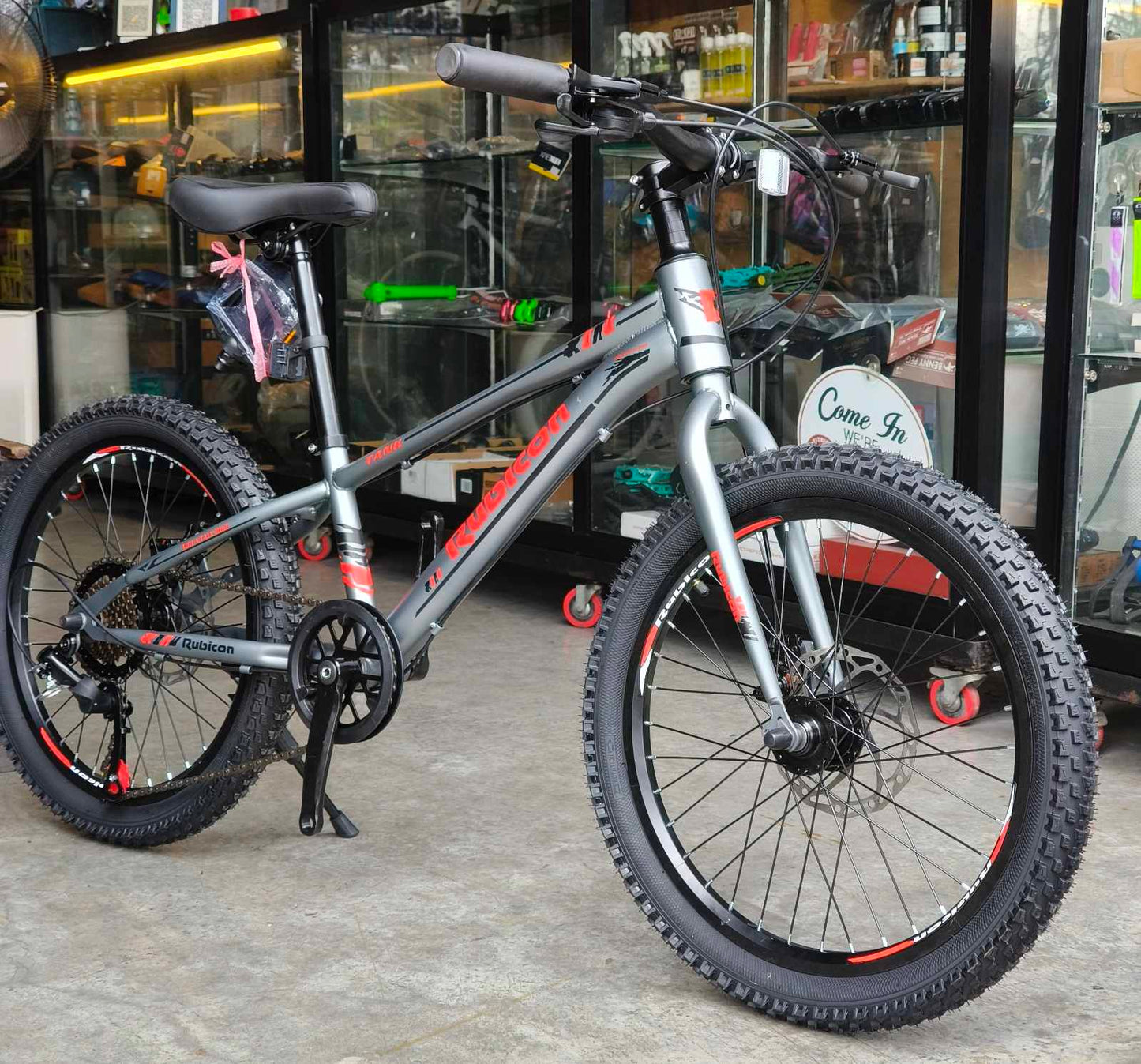 Z- Rubicon, Mt Bike 20 Silver