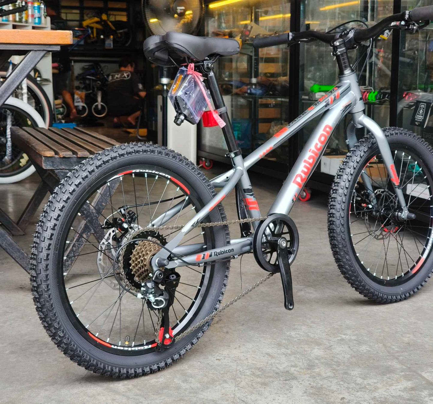Z- Rubicon, Mt Bike 20 Silver