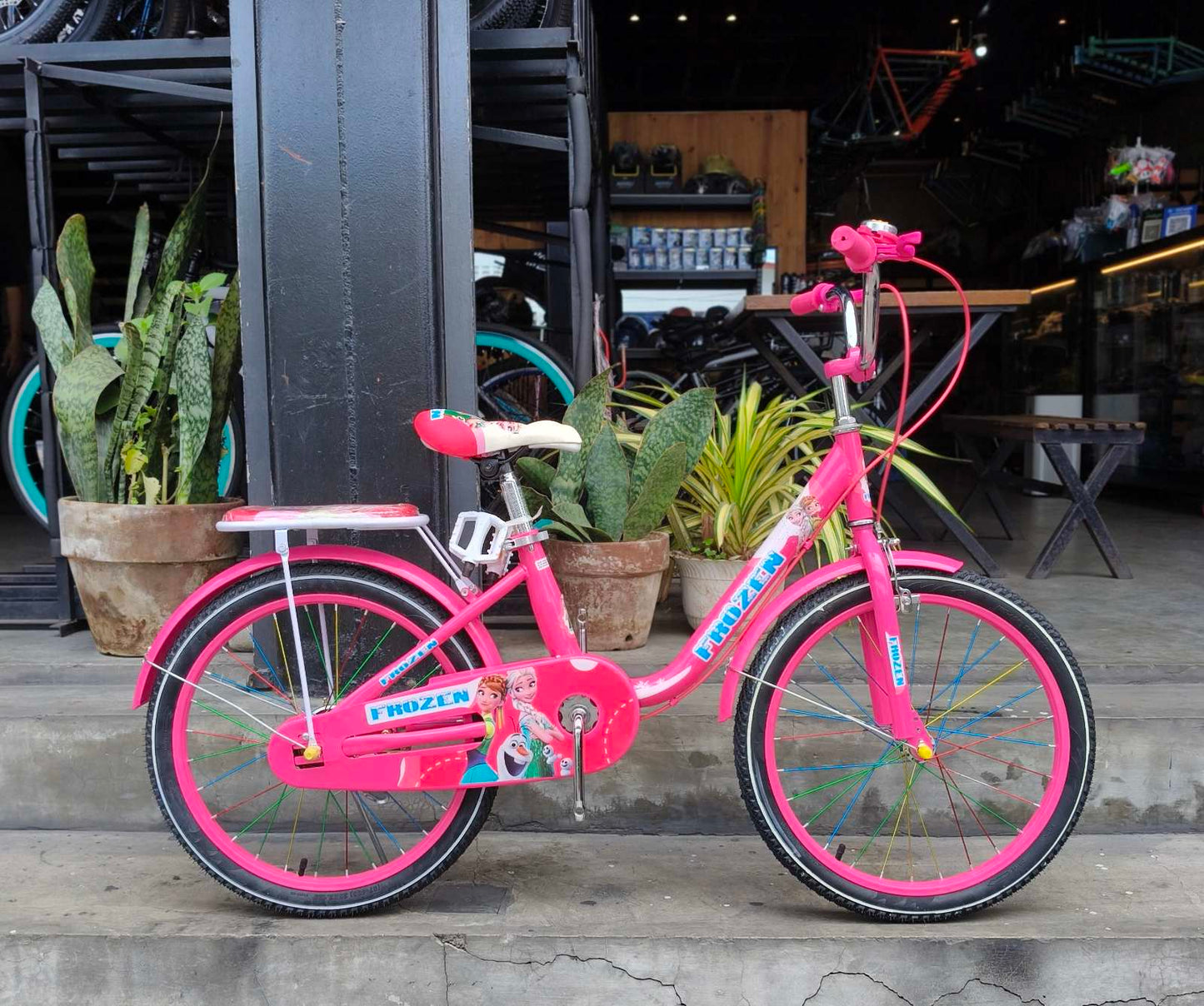 Z- Bike 20 Frozen