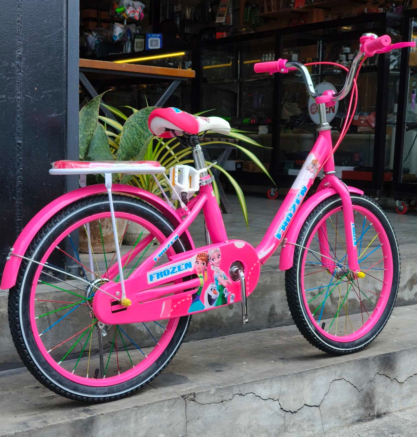 Z- Bike 20 Frozen