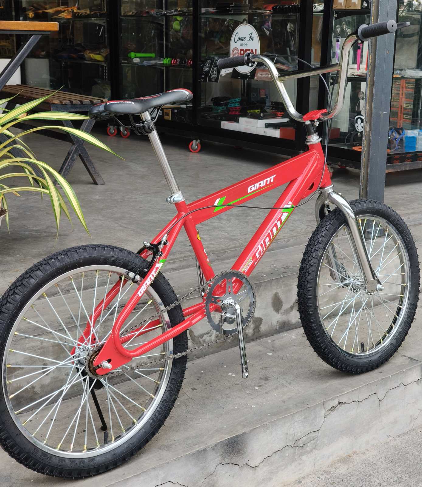 Z- Bike 20 Giant Big tubing