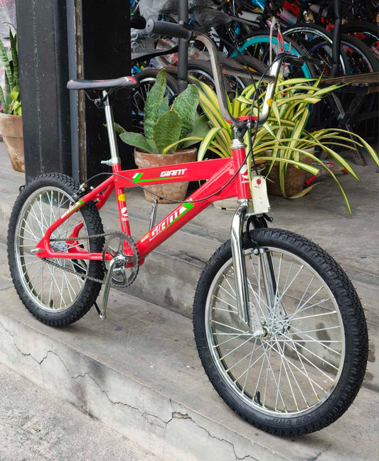 Z- Bike 20 Giant Big tubing