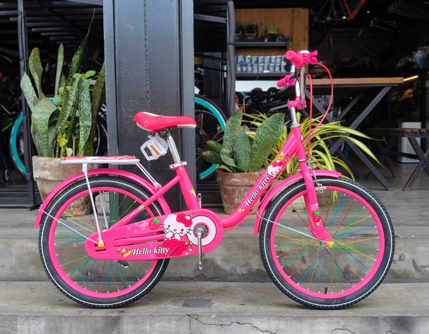 Z- Bike 20 Kitty