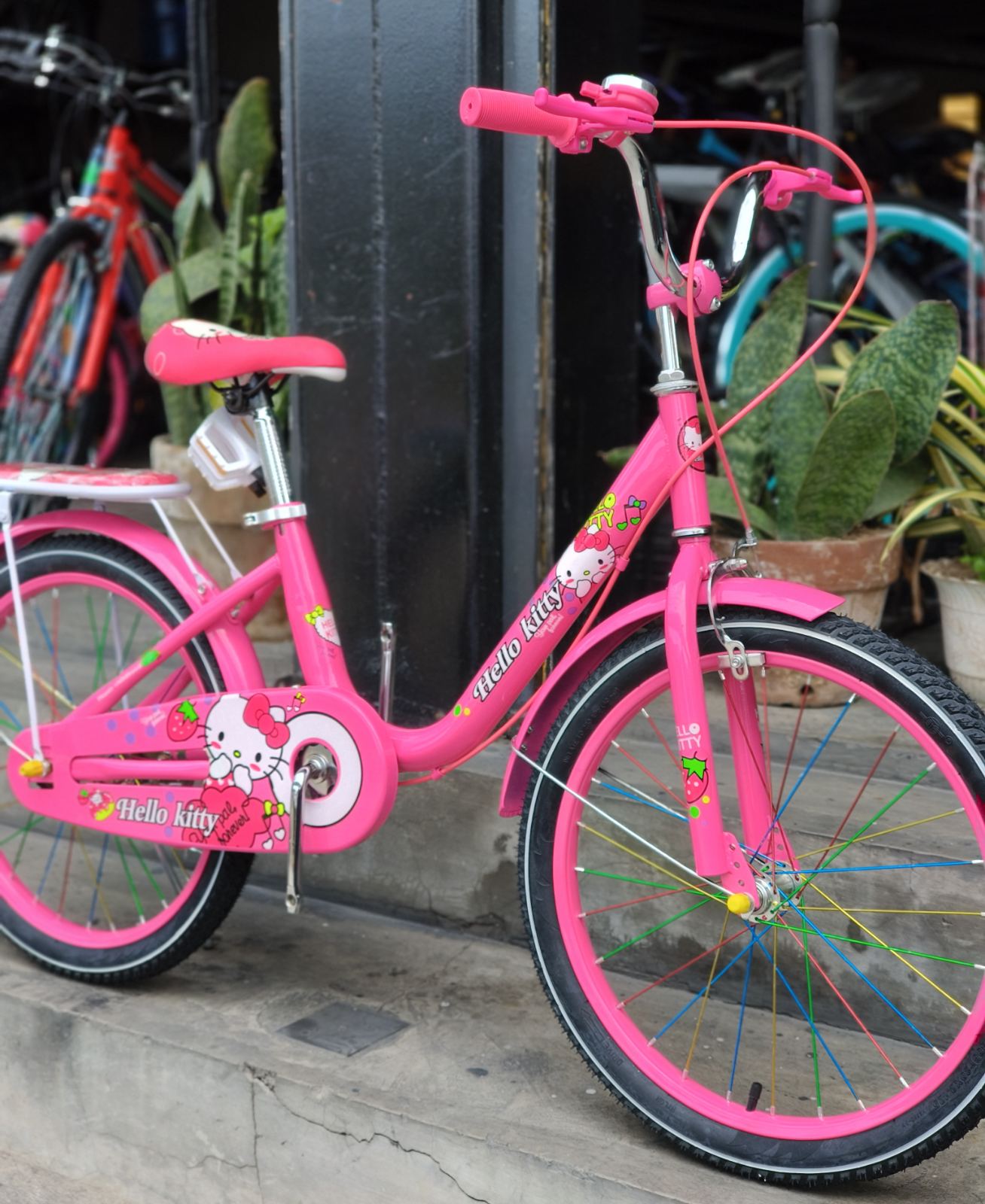 Z- Bike 20 Kitty