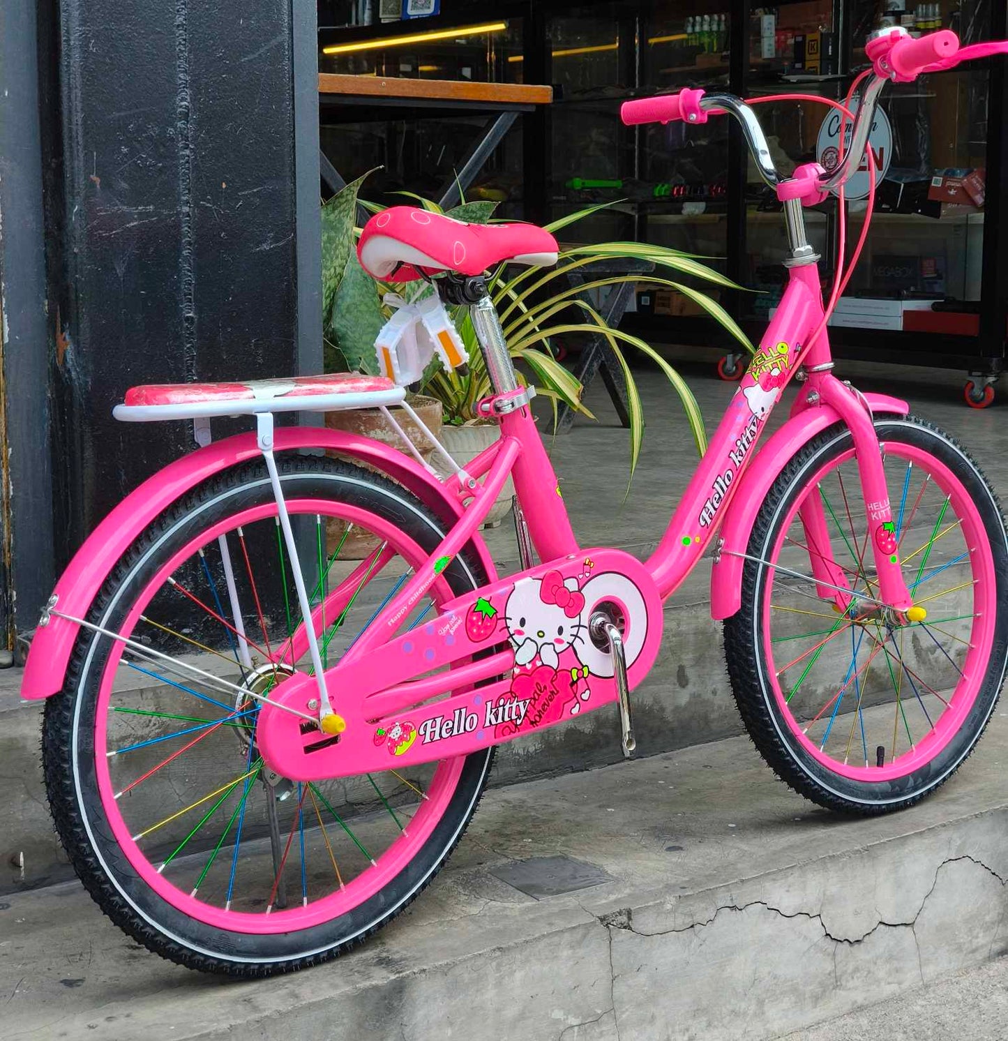 Z- Bike 20 Kitty