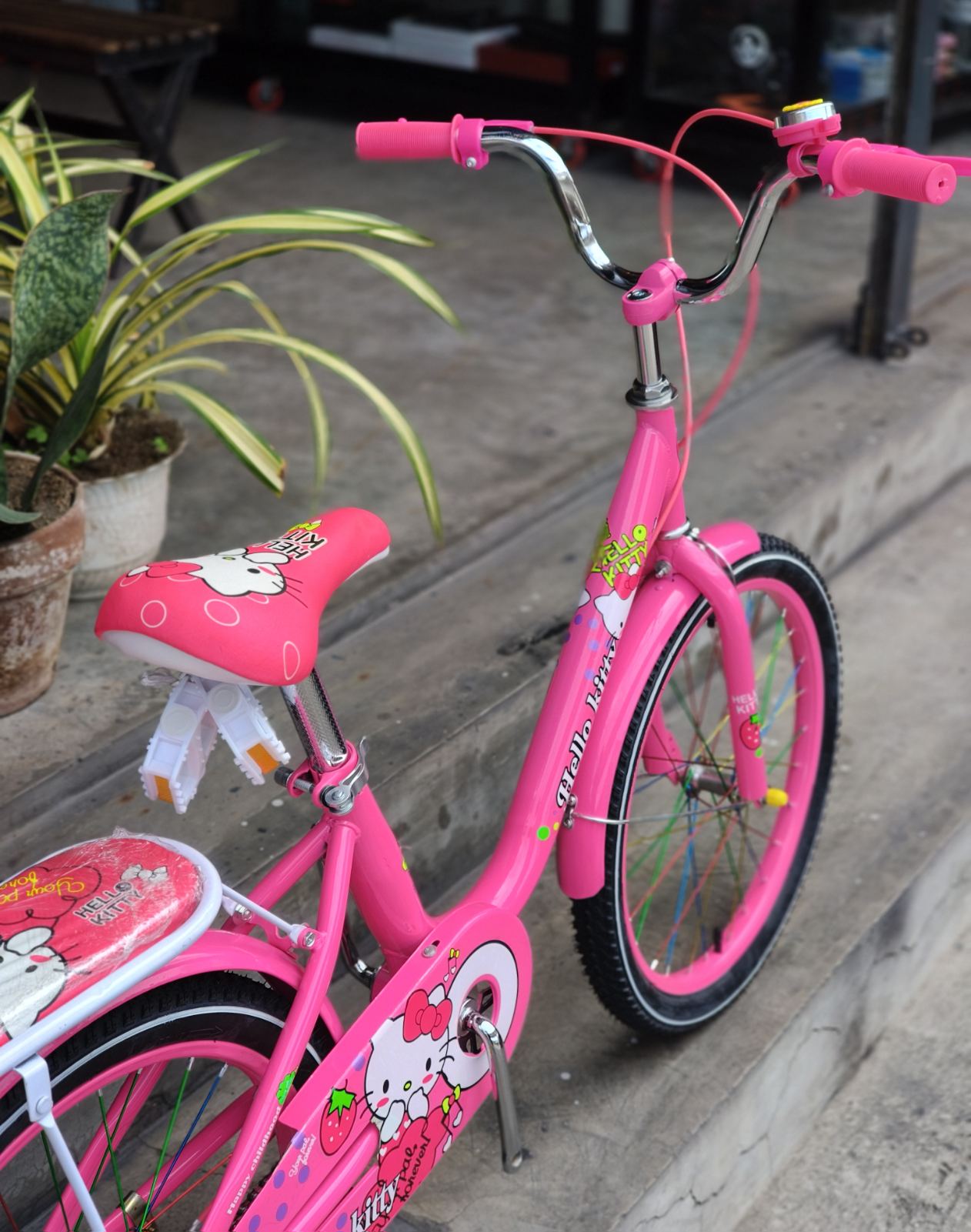 Z- Bike 20 Kitty