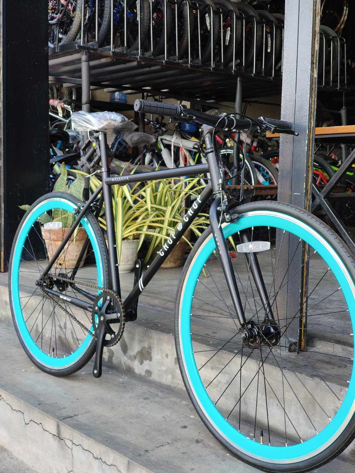 Fixed Gear - Maru Chop Chop Model