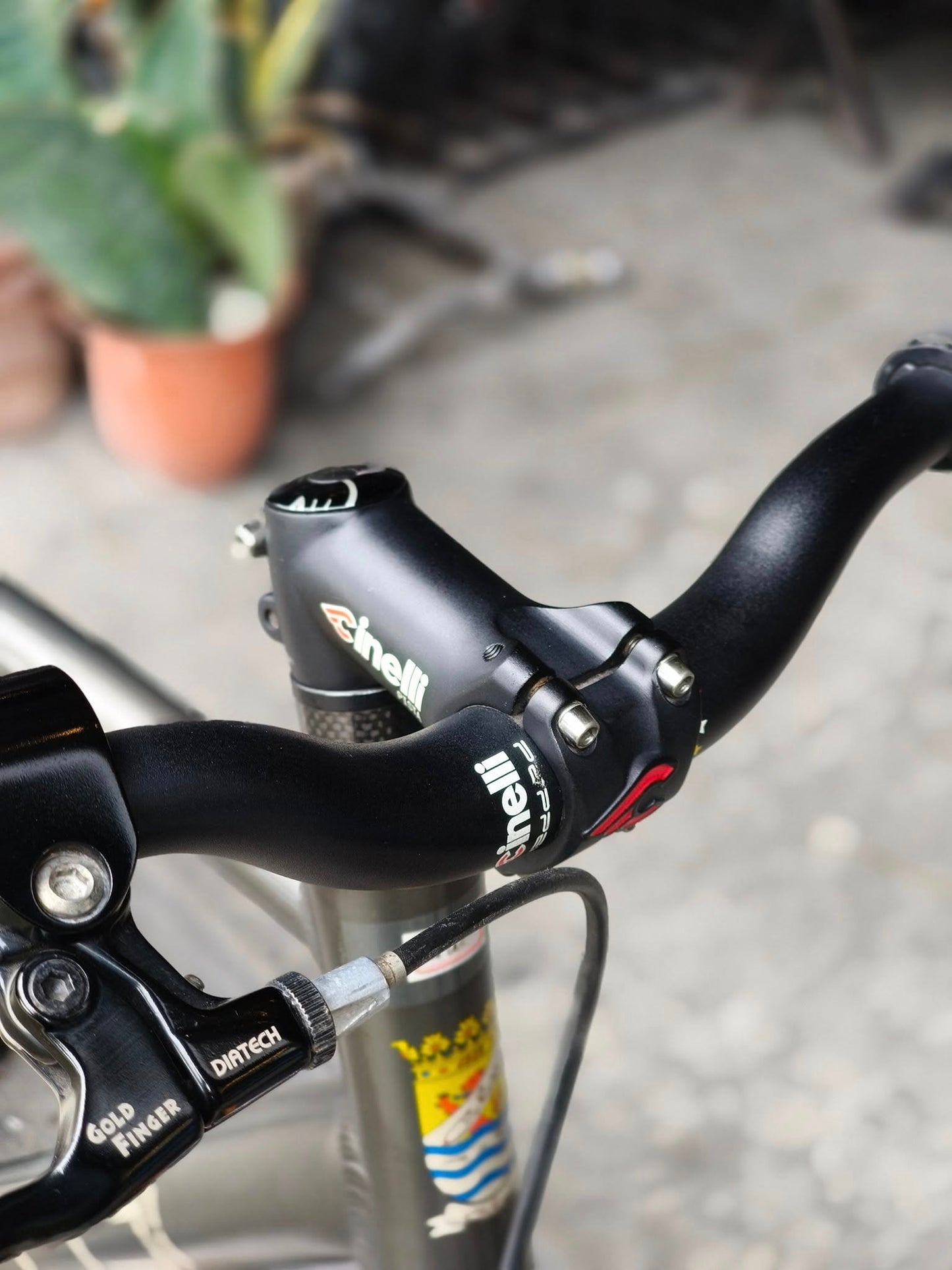 Colossi Triple Triangle Custom Built Bike (Preowned)