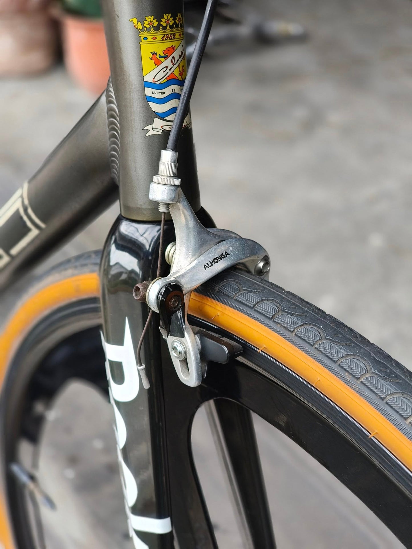 Colossi Triple Triangle Custom Built Bike (Preowned)
