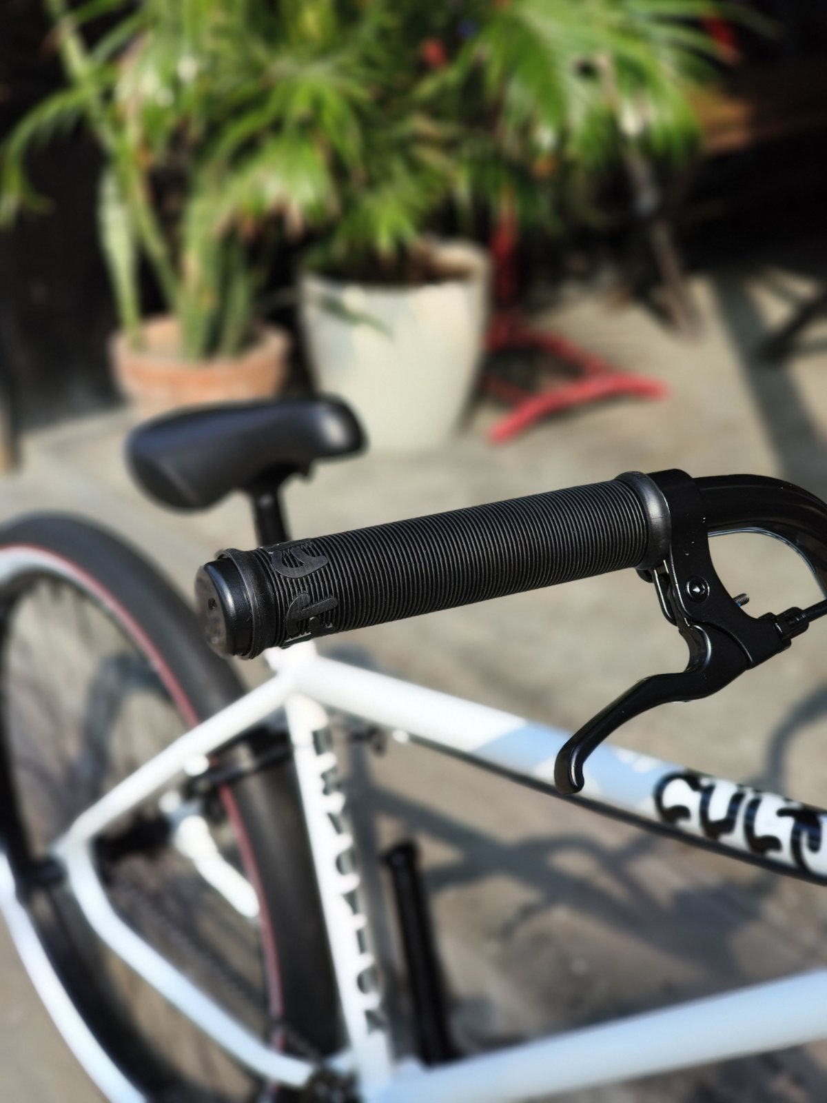 Cult Devotion 26" Cruiser