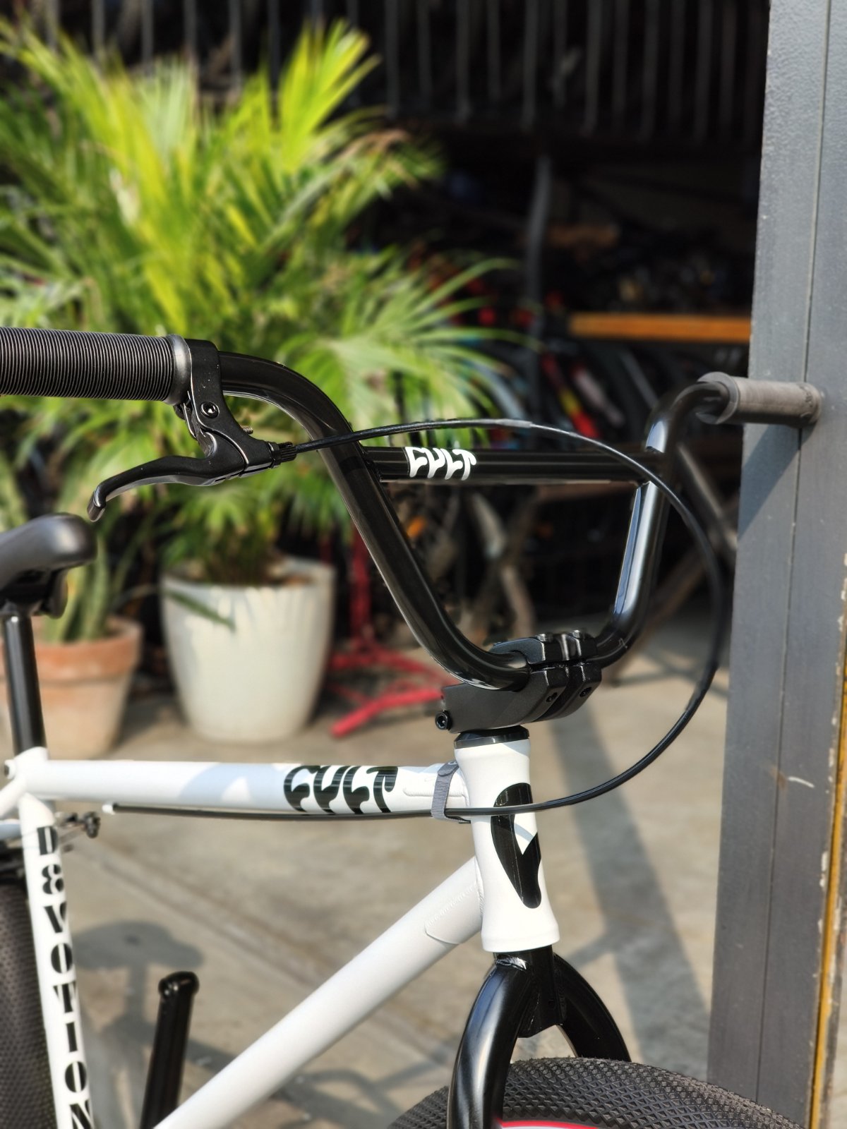 Cult Devotion 26" Cruiser