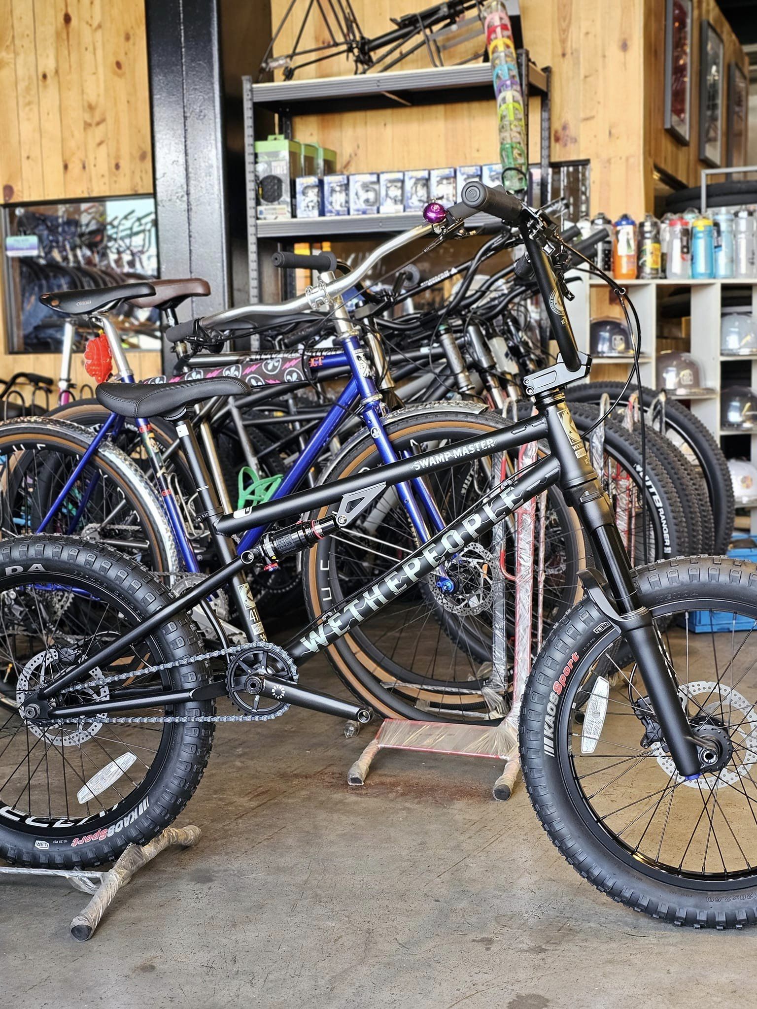 Wethepeople Swamp Master BMX 20 - Main Image