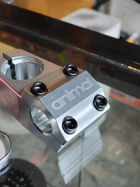 Animal, Inverse Stem