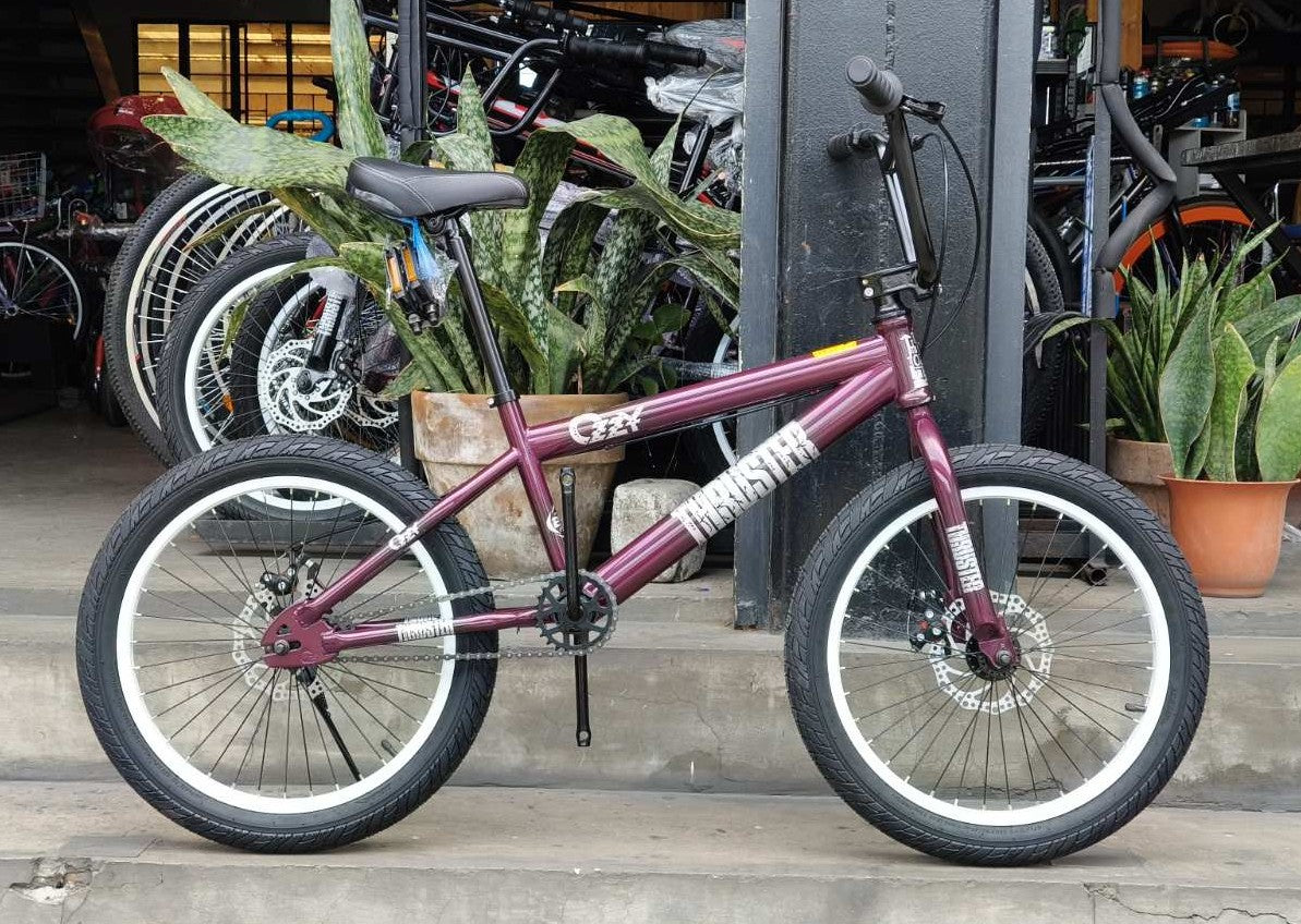 Z- Bike 20 Ozzy Thruster Raspberry