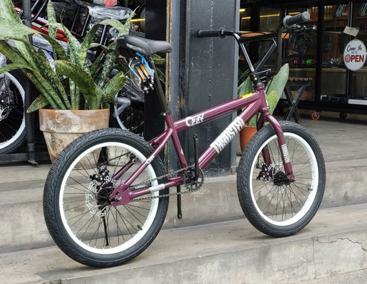 Z- Bike 20 Ozzy Thruster Raspberry