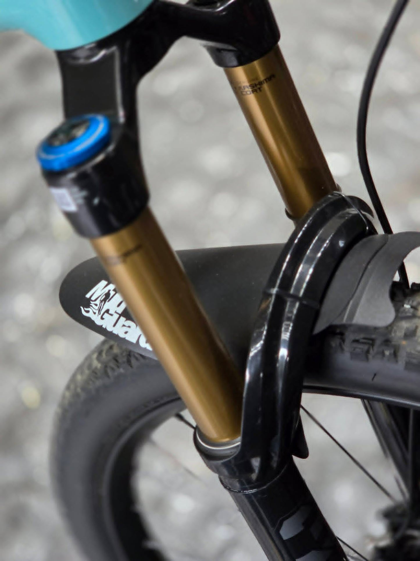 Preowned - Santa Cruz Tallboy Carbon (C)