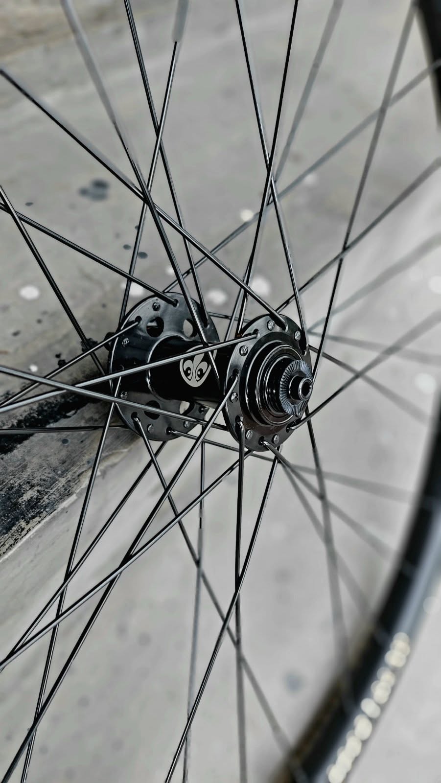 Wheel Set - THE PROJECT TP SLAY Rims, The Project Non-Boost Hubs