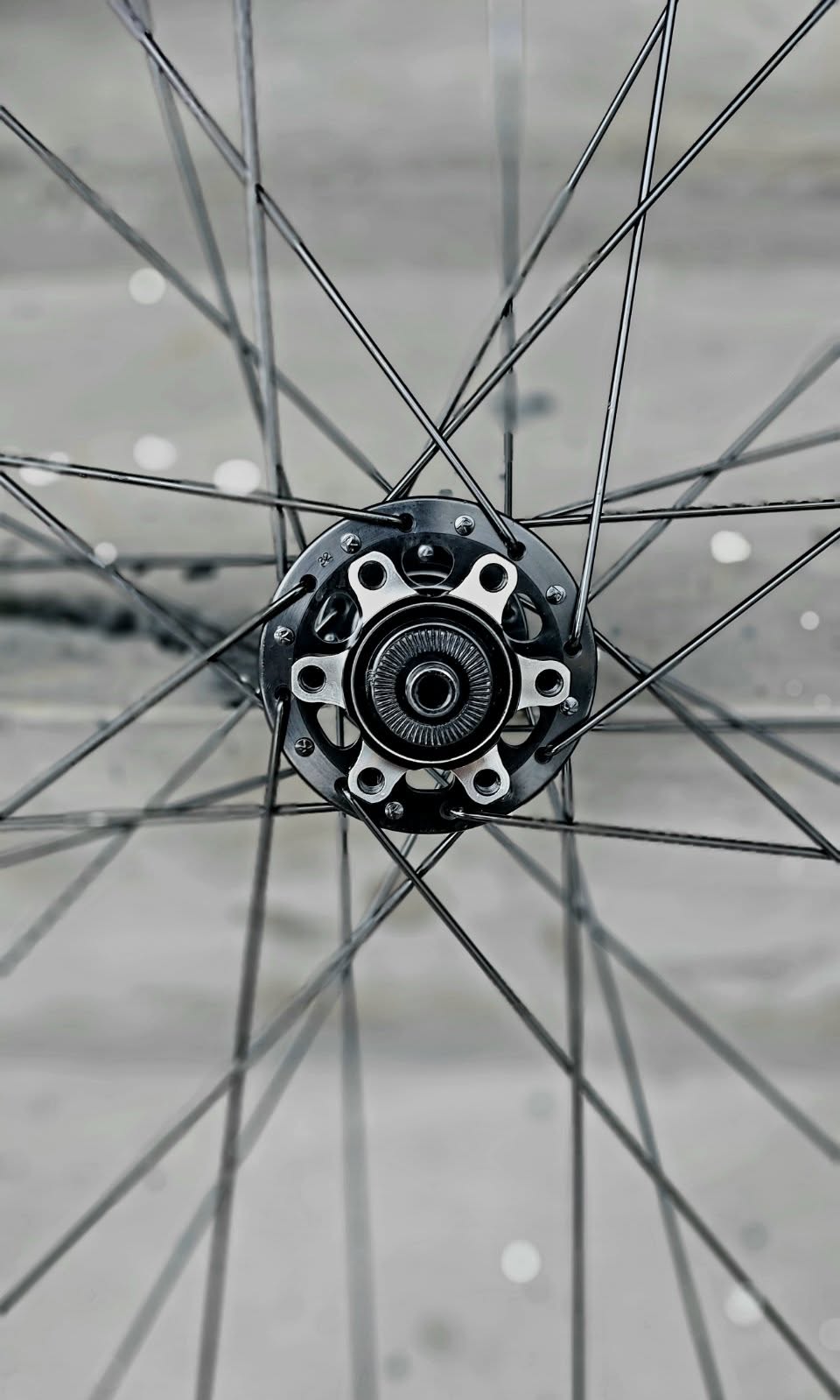 Wheel Set - THE PROJECT TP SLAY Rims, The Project Non-Boost Hubs