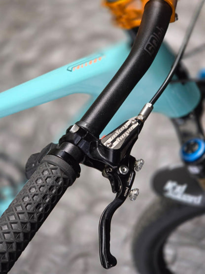 Preowned - Santa Cruz Tallboy Carbon (C)