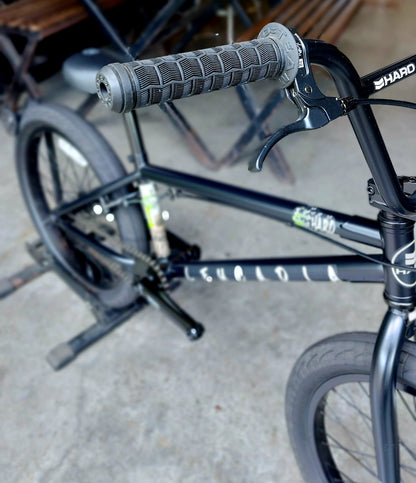 Haro Leucadia Matte Black BMX Bike