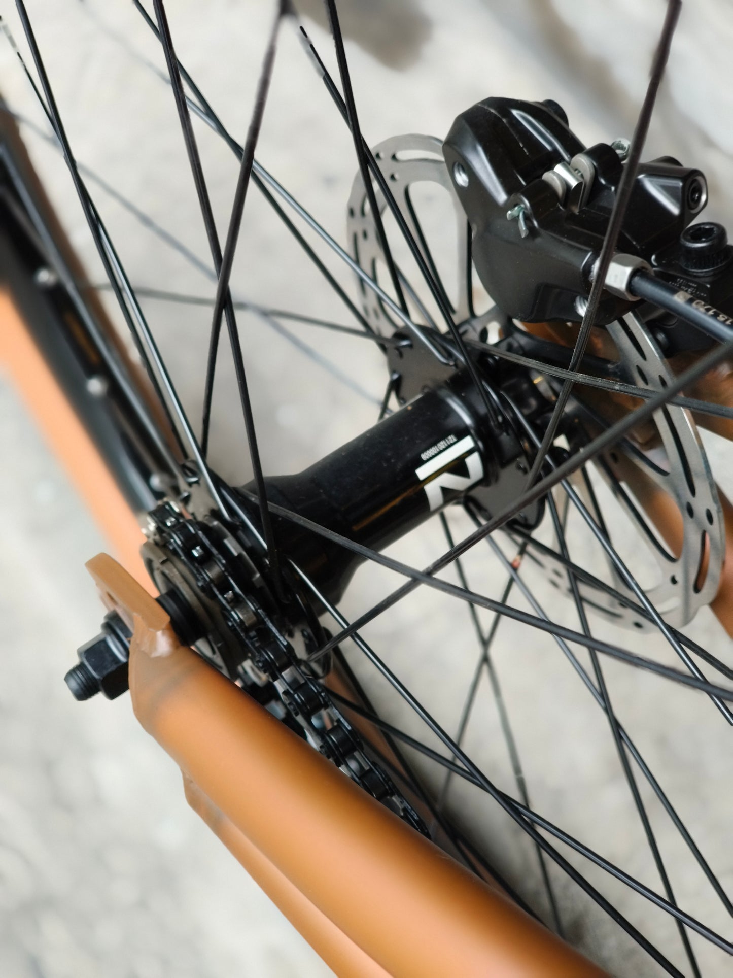 Transition PBJ Dirt Jump 26