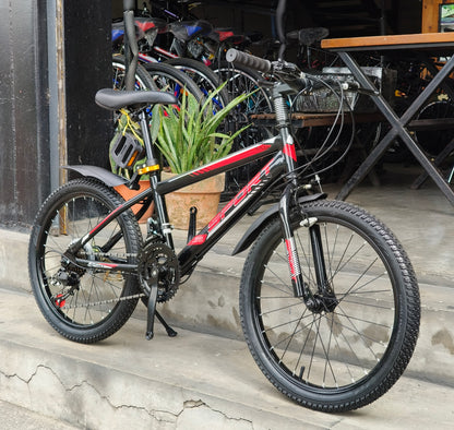 Z- Mini Mountain Bike Size 20 Sports