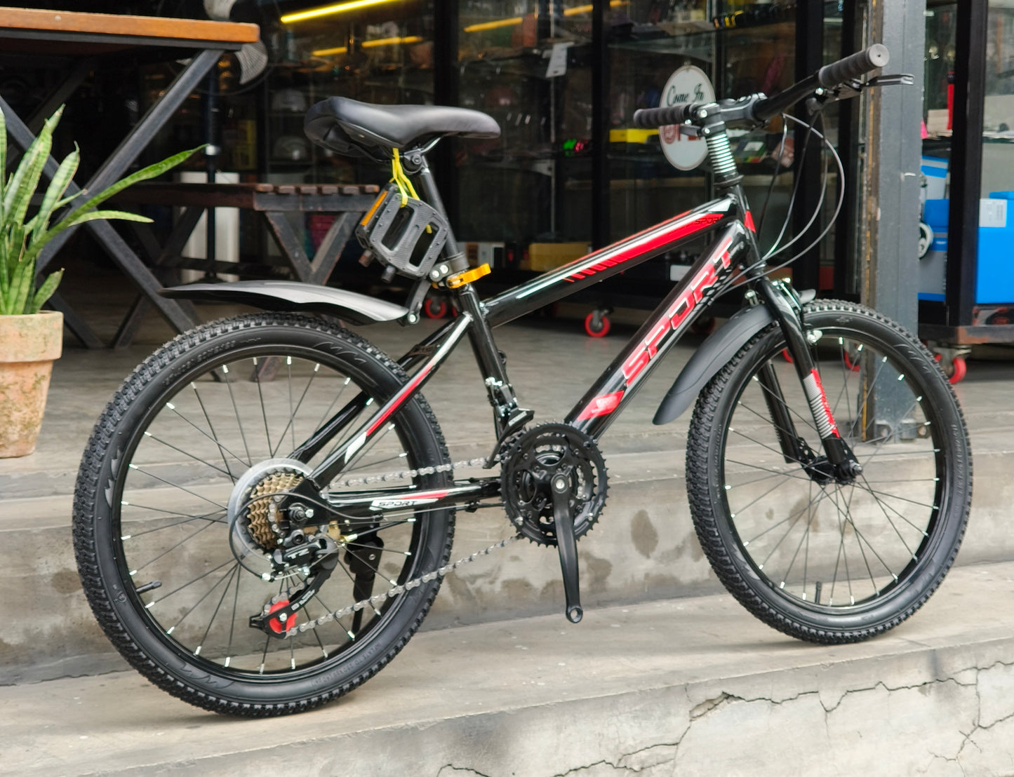 Z- Mini Mountain Bike Size 20 Sports