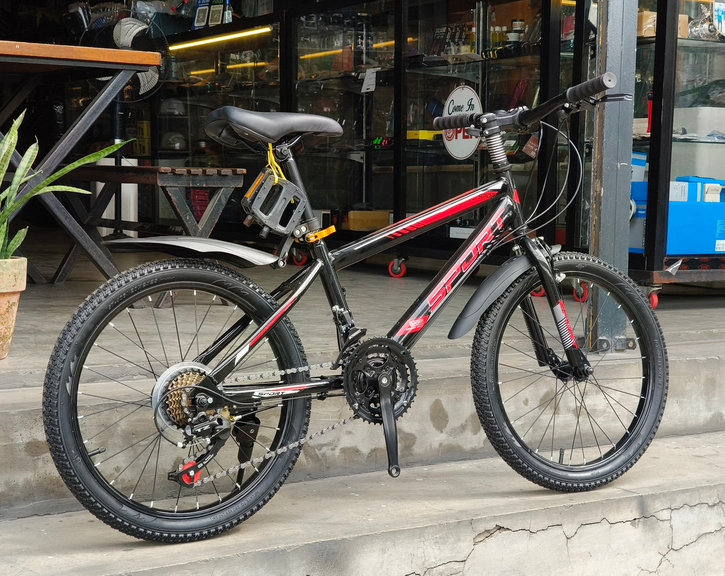 Z- Mini Mountain Bike Size 20 Sports