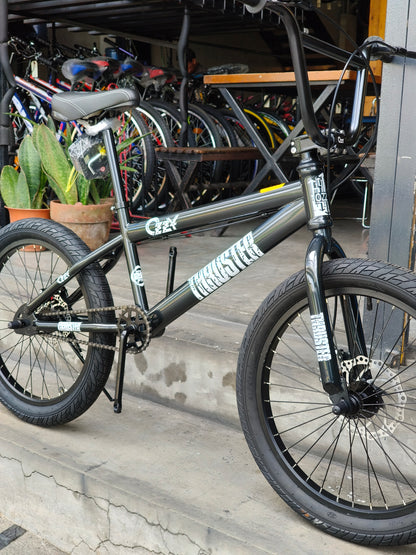 Z- Bike 20 Ozzy Thruster Gray