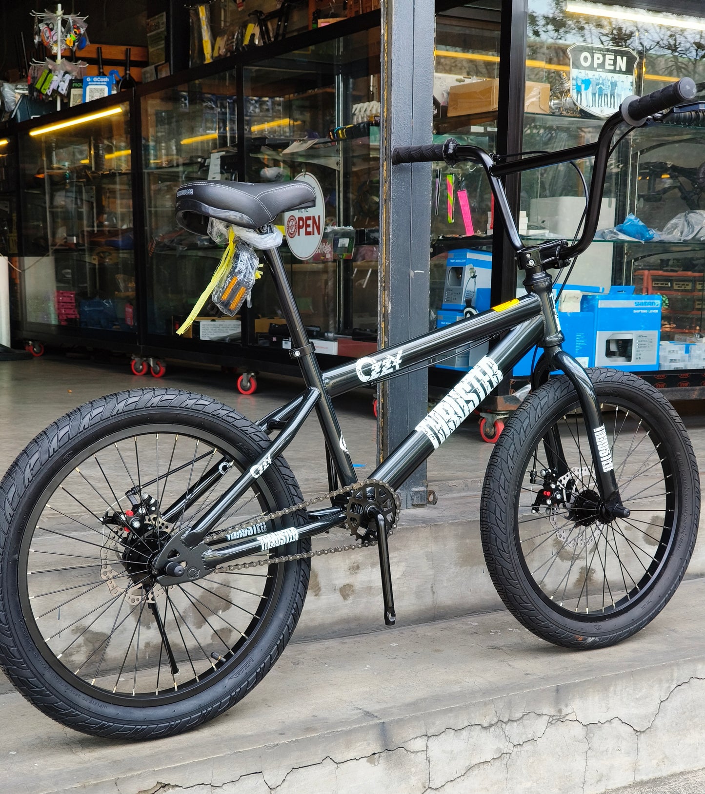 Z- Bike 20 Ozzy Thruster Gray