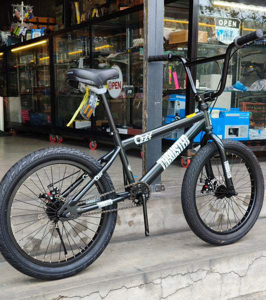 Z- Bike 20 Ozzy Thruster Gray