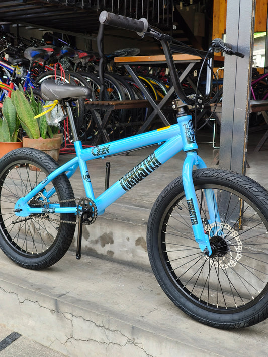Z- Bike 20 Ozzy Thruster Skyblue