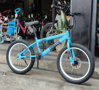 Z- Bike 20 Ozzy Thruster Skyblue