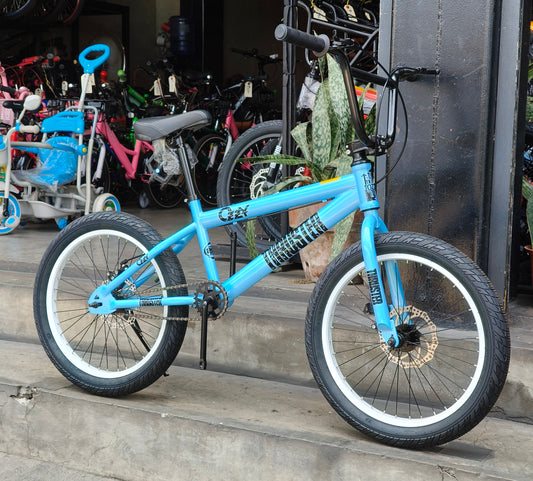 Z- Bike 20 Ozzy Thruster Skyblue