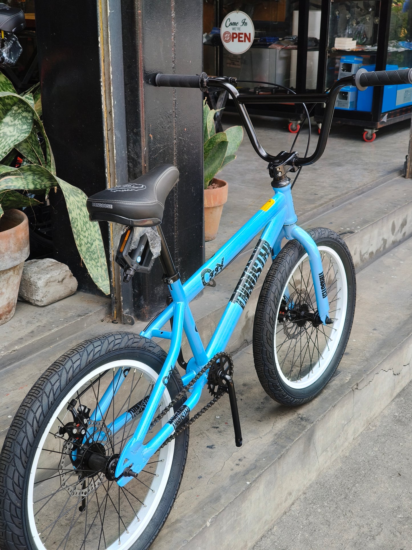 Z- Bike 20 Ozzy Thruster Skyblue