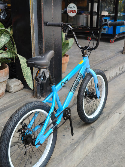 Z- Bike 20 Ozzy Thruster Skyblue