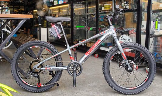 Z- Rubicon, Mt Bike 20 Silver