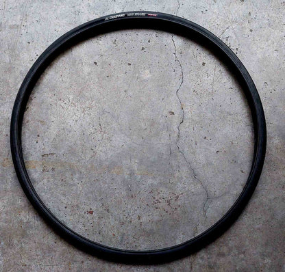 Tire 700 x 25C  & 28C Mini Shark (Wire On) - Chaoyang