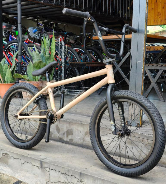 Flybikes - Bike 20 Neutron (20.75" TT)