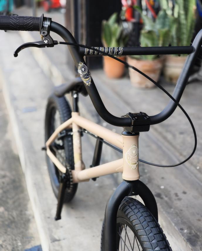 Flybikes - Bike 20 Neutron (20.75" TT)