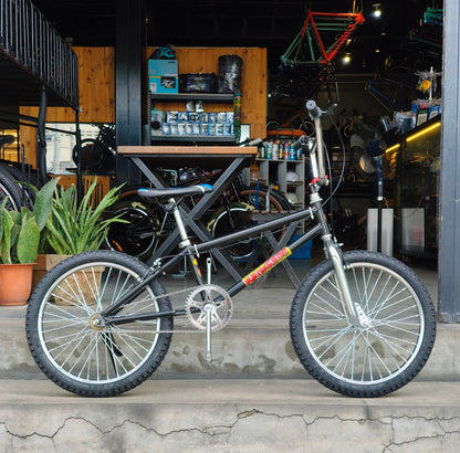 Z- Bike 20 Renegade