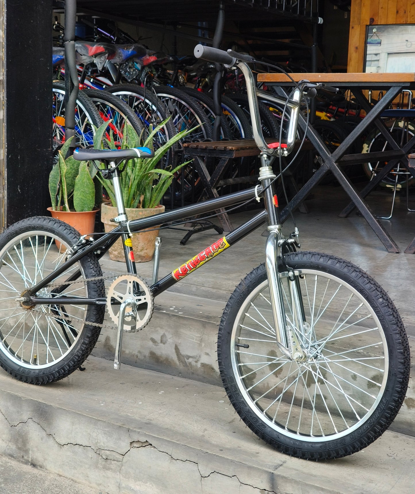 Z- Bike 20 Renegade