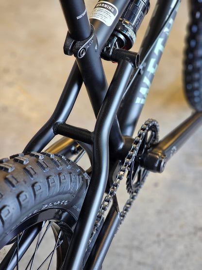 Wethepeople Swamp Master BMX 20