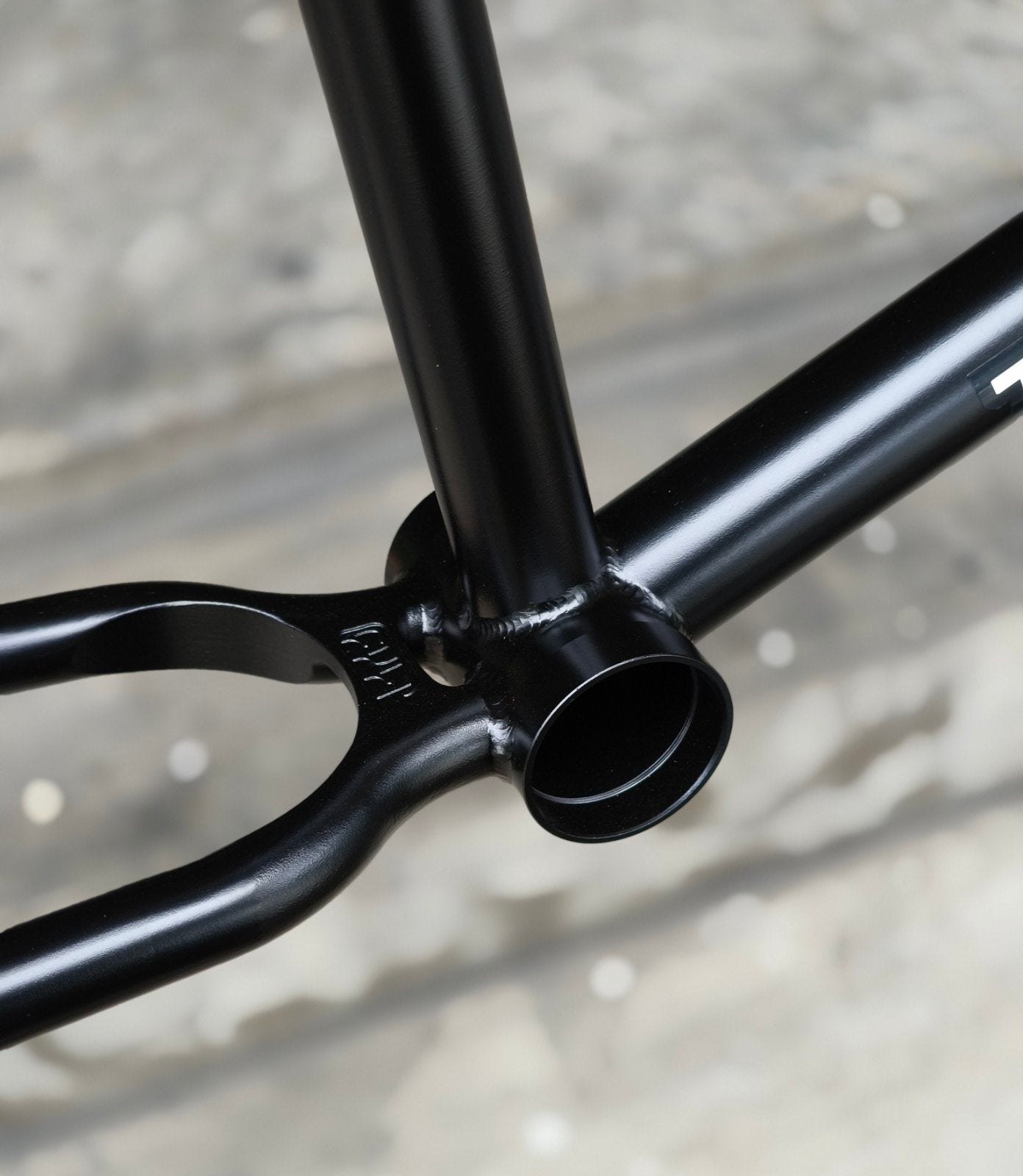 Cult, 2 Short IC2 Frame 20.5"