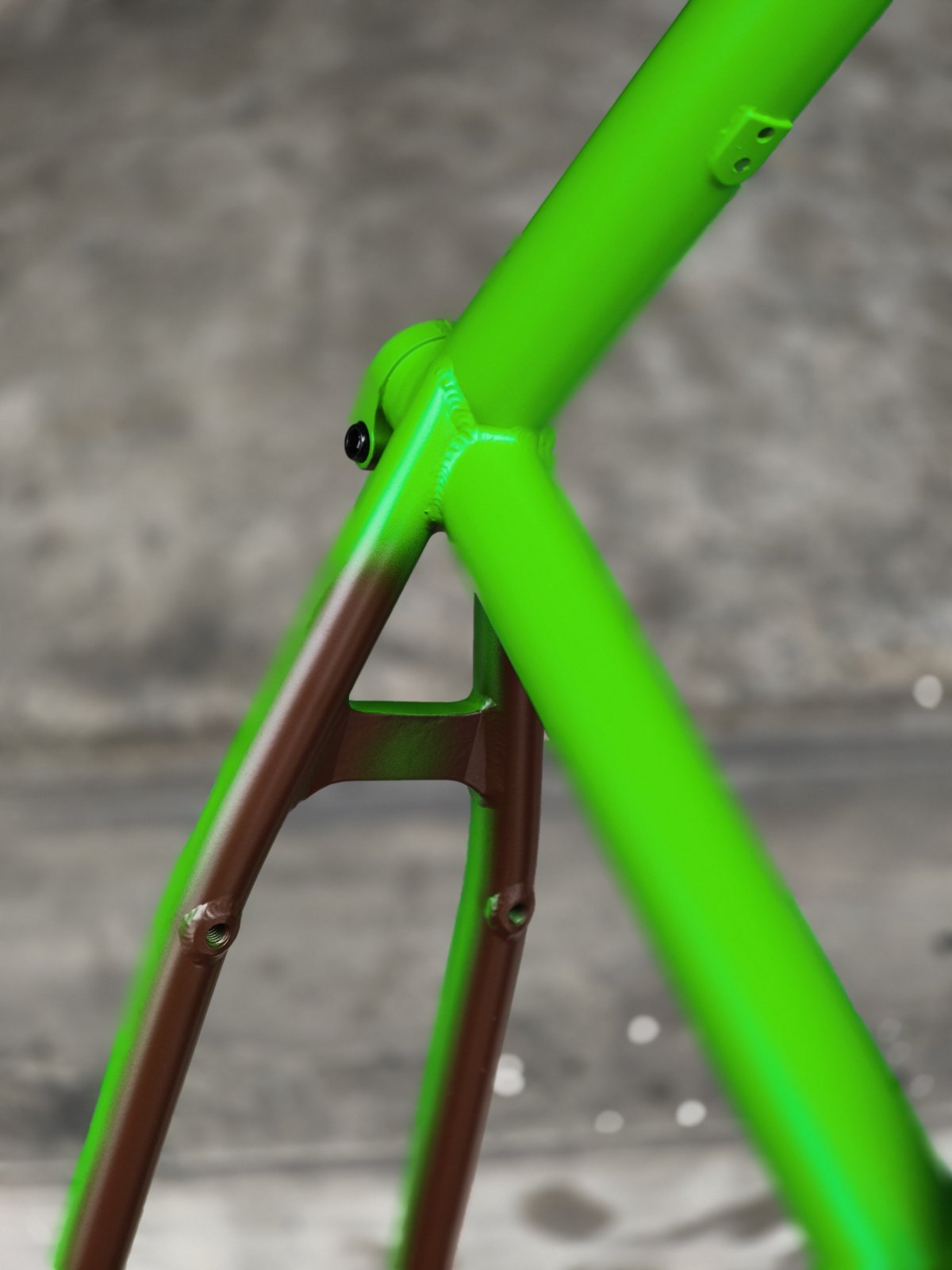 Cult, Alex Kennedy "Biggie" 20.5 Frame